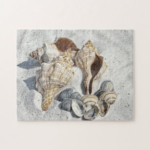 Seashells on the White Sant Beach Jigsaw Puzzle