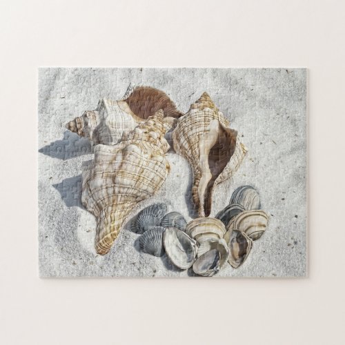 Seashells on the White Sant Beach  Jigsaw Puzzle