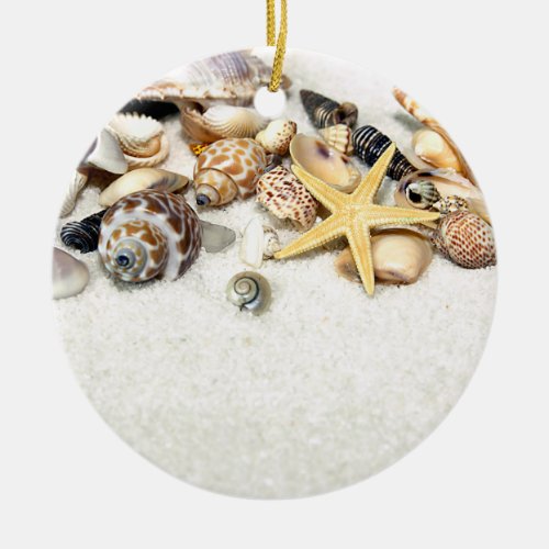 Seashells Ornament