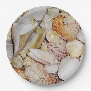 Seashells Paper Plates