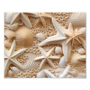 Seashells Photo Print