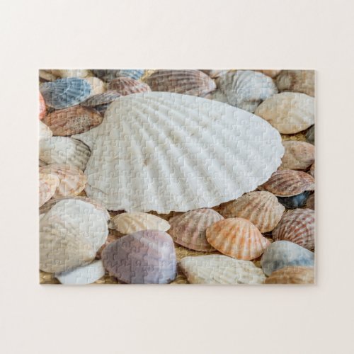 Seashells Photo Puzzle