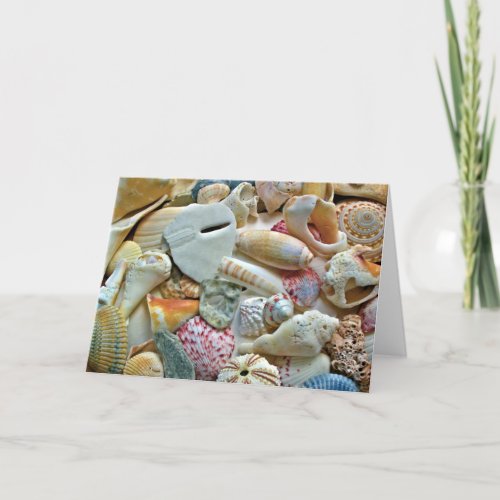 Seashells Photography Blank Note Cards