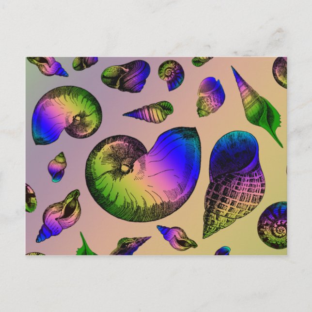 Seashells Postcard (Front)