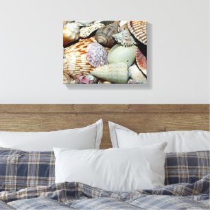 seashells poster canvas print