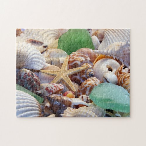 Seashells Puzzle