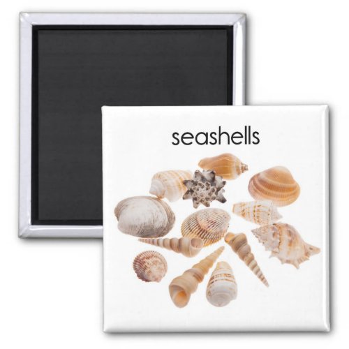 Seashells Refrigerator Magnet