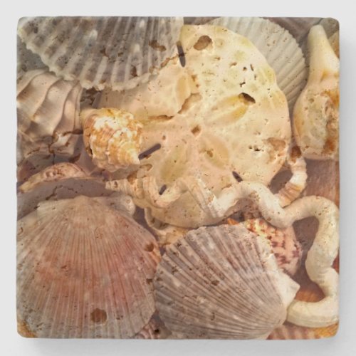 Seashells Sand Dollar Stone Coaster
