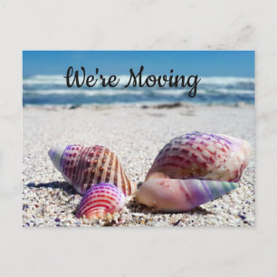 Seashells Sandy Beach Ocean Change of Address Announcement Postcard
