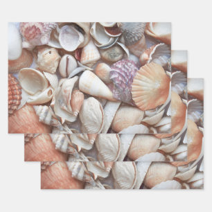 Seashells Sketch Ocean Nautical Beach Decoupage Wrapping Paper Sheets