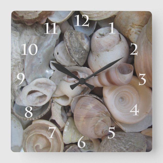 Seashells Square Wall Clock (Front)