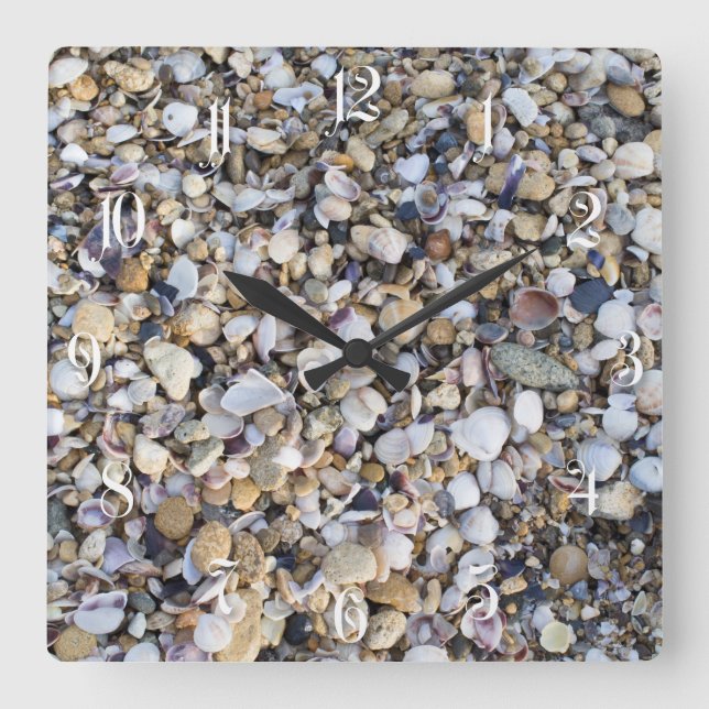 Seashells Square Wall Clock (Front)