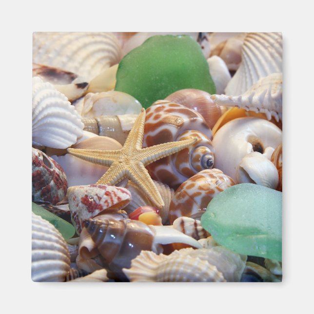 Seashells Starfish & Beach Glass Magnet (Front)