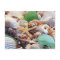 Seashells Starfish & Beach Glass Postcard