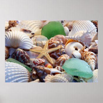 Seashells  Starfish & Beach Glass Poster by CarriesCamera at Zazzle