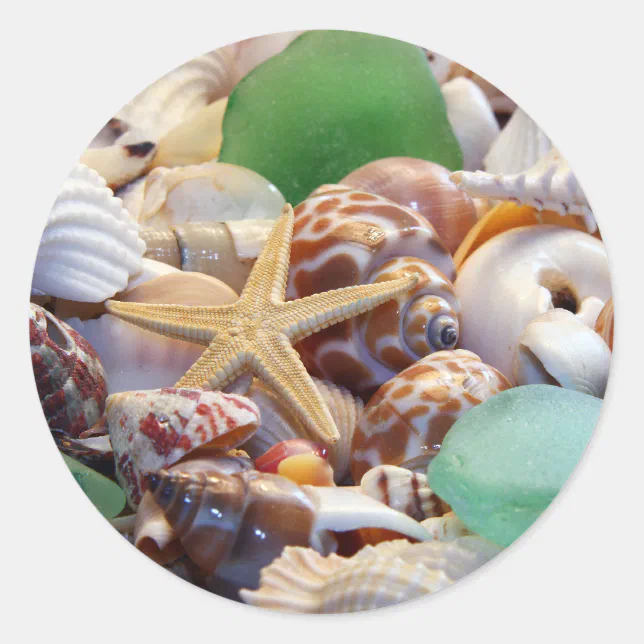 Seashells Starfish & Beach Glass Stickers 