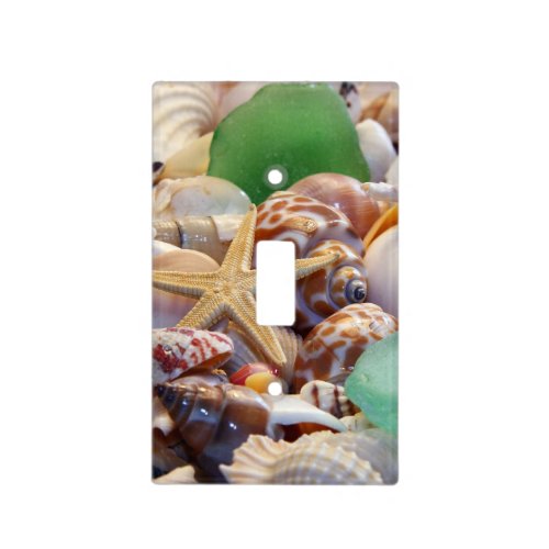 Seashells  Starfish Light Switch Cover