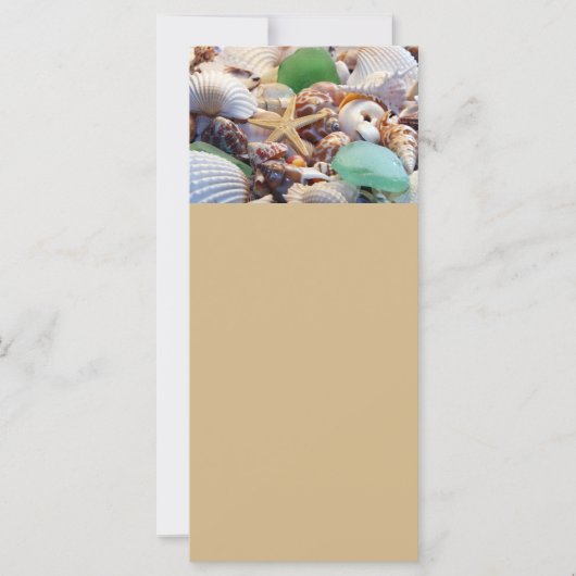 Seashells, Starfish & Sea Glass Rack Cards (Front)