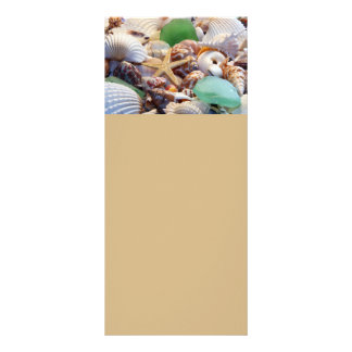 Seashells, Starfish & Sea Glass Rack Cards