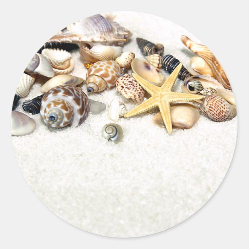 Seashells Stickers