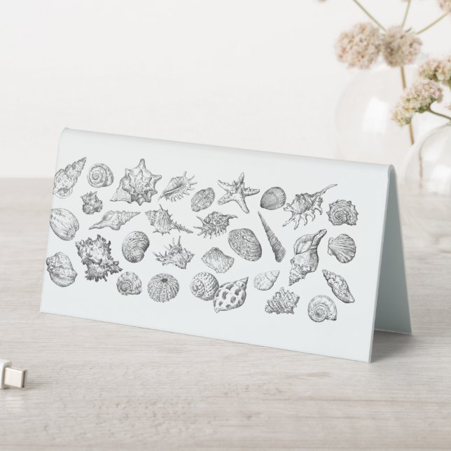 Seashells Table Tent (In SItu (Table))