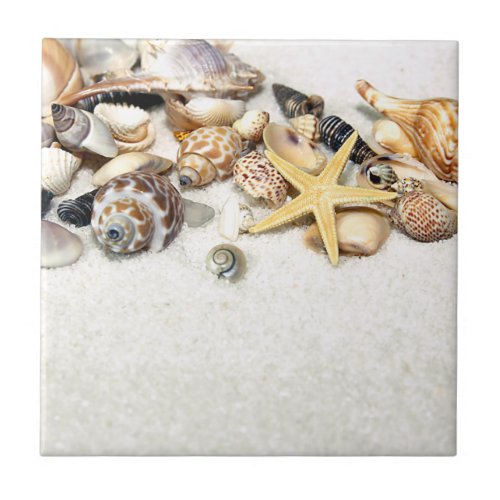 Seashells Tile