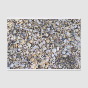 Seashells Tissue Paper