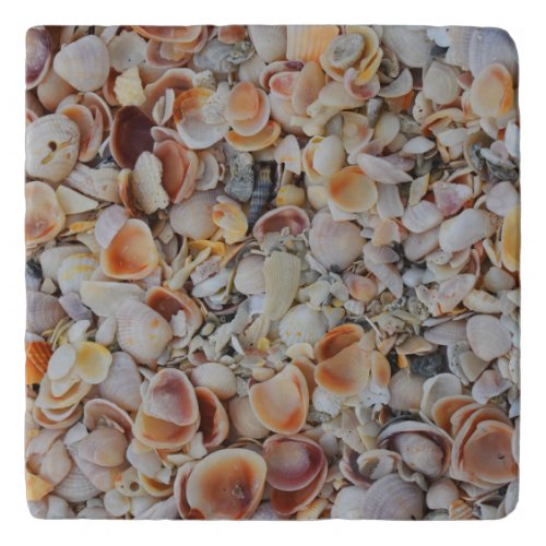 Seashells Trivet