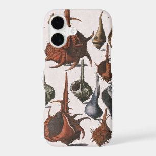 Seashells, Vintage Sea Shells, Ocean Marine Life iPhone 17 Case