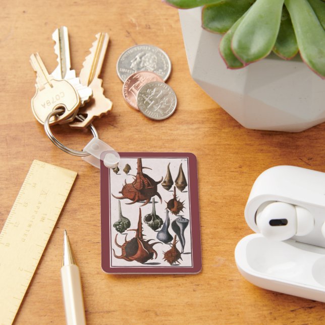 Seashells, Vintage Sea Shells, Ocean Marine Life Keychain (Desk)