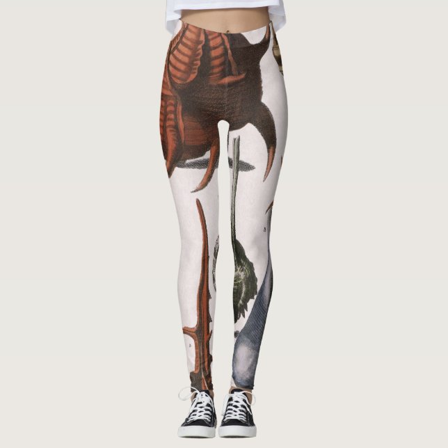 Seashells, Vintage Sea Shells, Ocean Marine Life Leggings (Front)