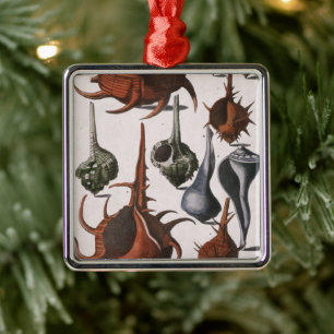 Seashells, Vintage Sea Shells, Ocean Marine Life Metal Ornament