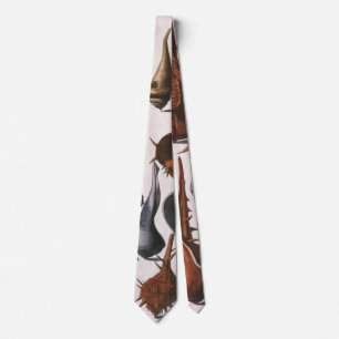 Seashells, Vintage Sea Shells, Ocean Marine Life Tie