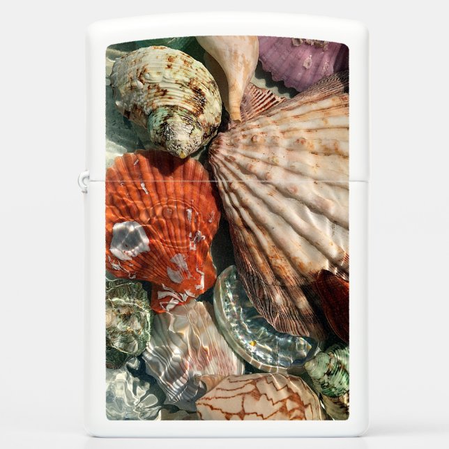 Seashells Zippo Lighter (Front)