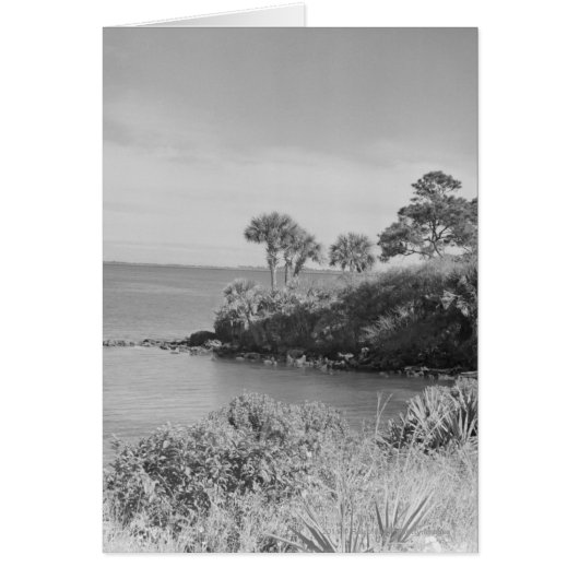 Seashore Cards (Front)
