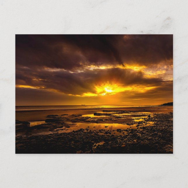 Seashore During Sunset Holiday Postcard (Front)