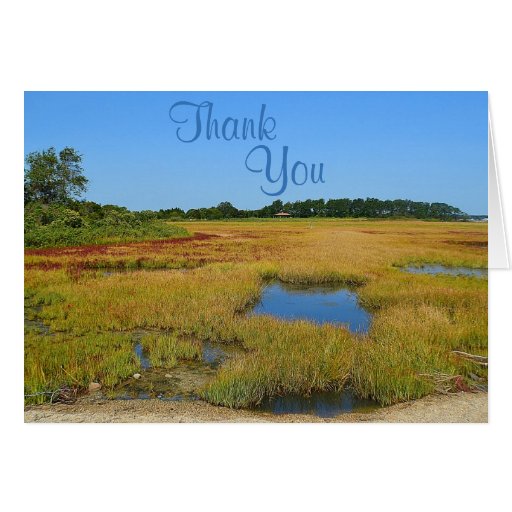 Seashore Landscape Thank You Card | Zazzle