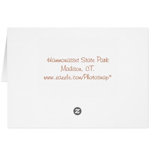 Seashore Marsh Notecard (Back Horizontal)