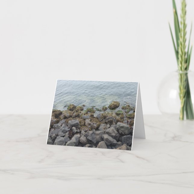 seashore rocks (blank) card (Front)