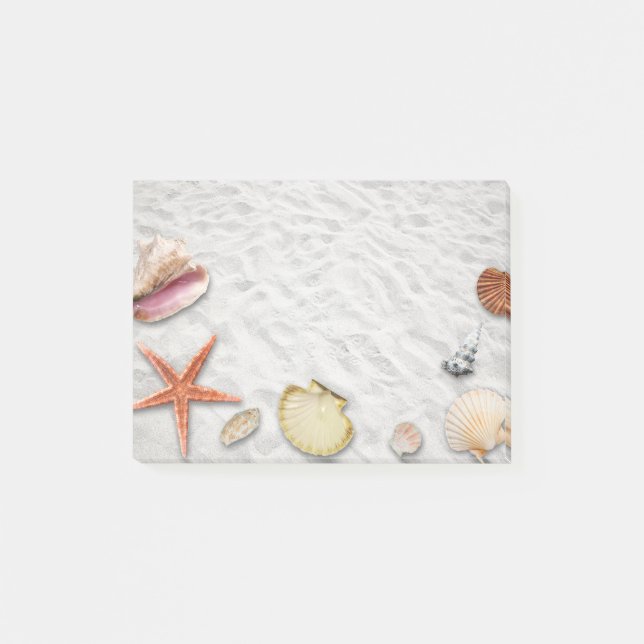 Seashore Seashells Notes (Front)