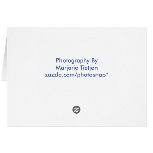 Seashore Thank You Card (Back Horizontal)