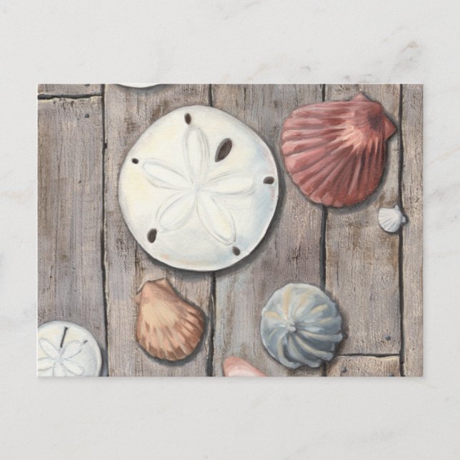 Seashore Treasures Postcard (Front)