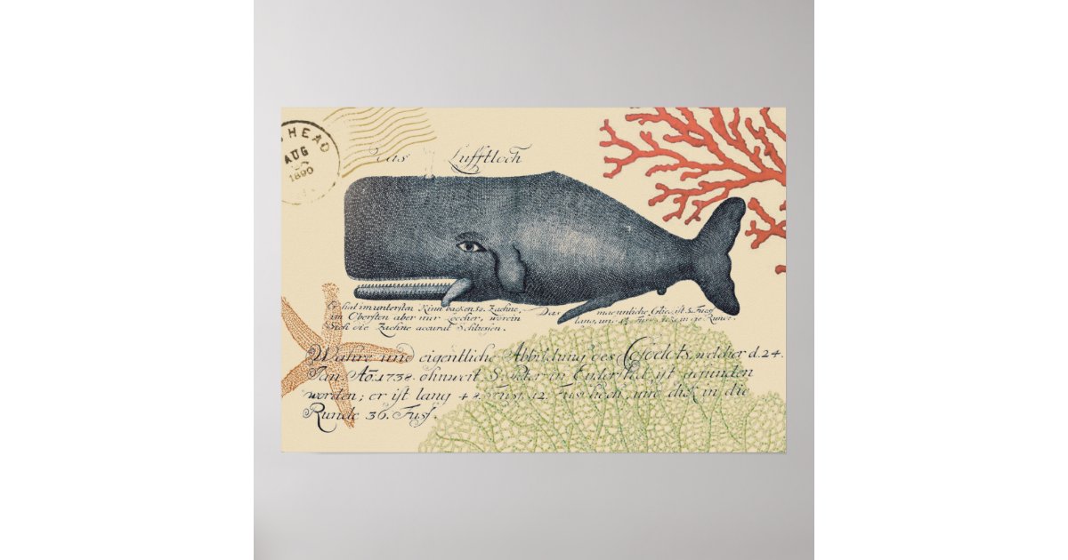Seaside Blue Whale Collage Poster | Zazzle