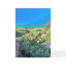 Seaside Cactus Nafplion Greece