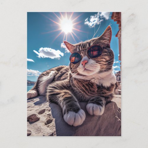 Seaside Cat Wearing Sunglasses Postcard