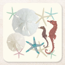 Seaside Collection Sand Dollars Square Paper Coaster