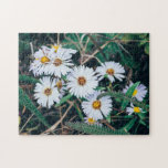 Seaside Daisies | Puzzle at Zazzle