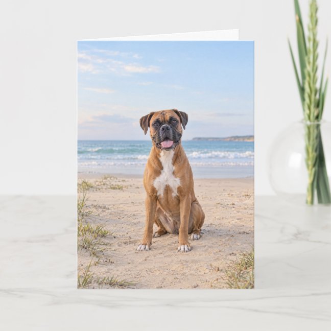 Seaside Fawn Boxer Blank Inside Greeting Card