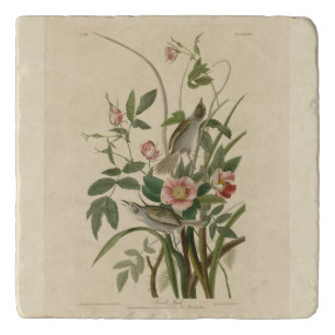 Seaside Finch (Sparrow) Audubon's Birds of America Trivet