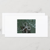 Seaside fun (Front/Back)